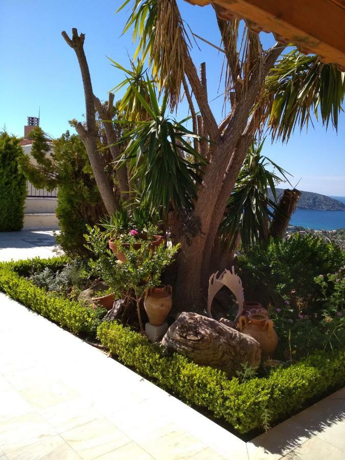Гостьовий будинок Saronic View Анавісос Екстер'єр фото