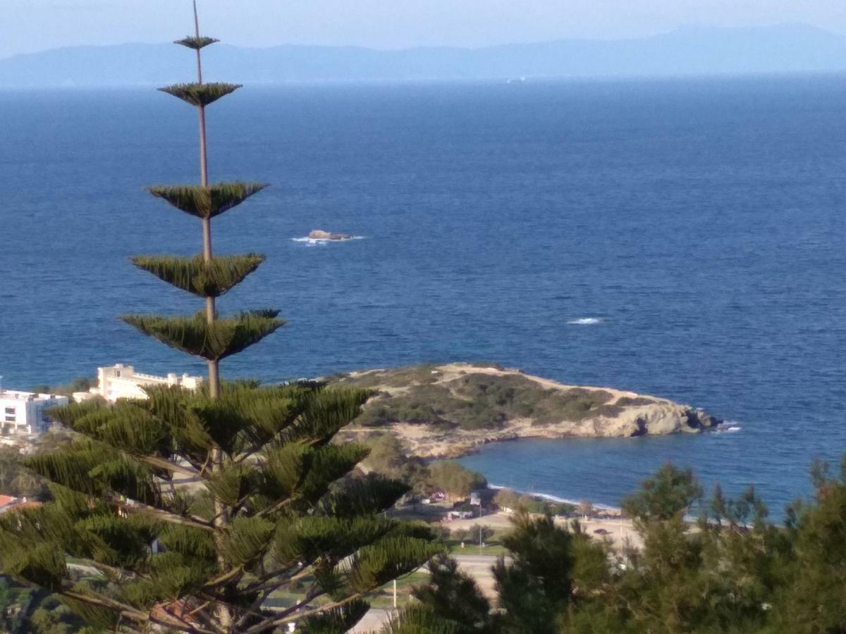Гостьовий будинок Saronic View Анавісос Екстер'єр фото
