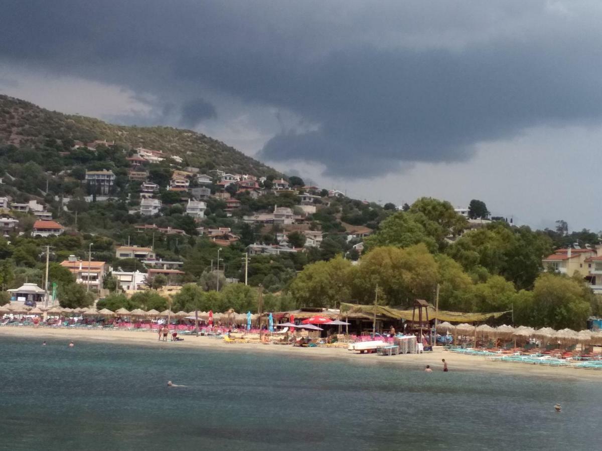 Гостьовий будинок Saronic View Анавісос Екстер'єр фото